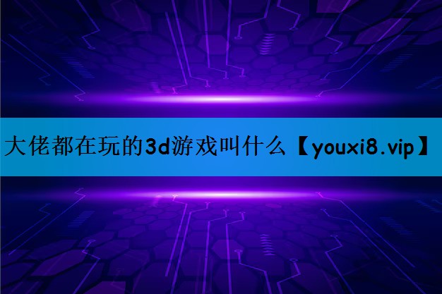 大佬都在玩的3d游戏叫什么