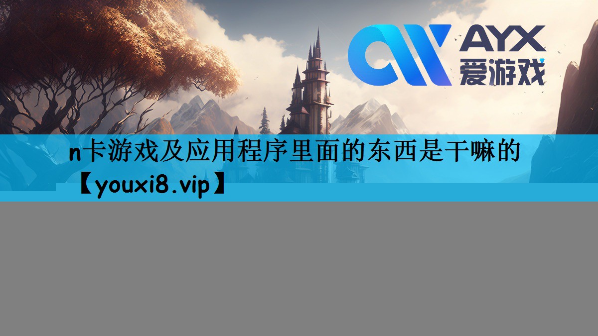 n卡游戏及应用程序里面的东西是干嘛的