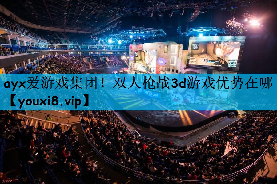 双人枪战3d游戏优势在哪